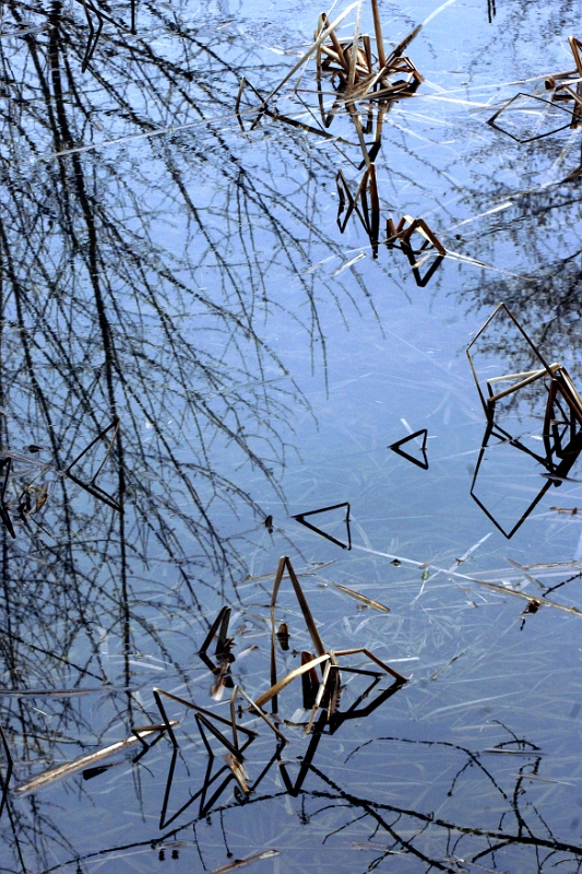 Grass & Water 